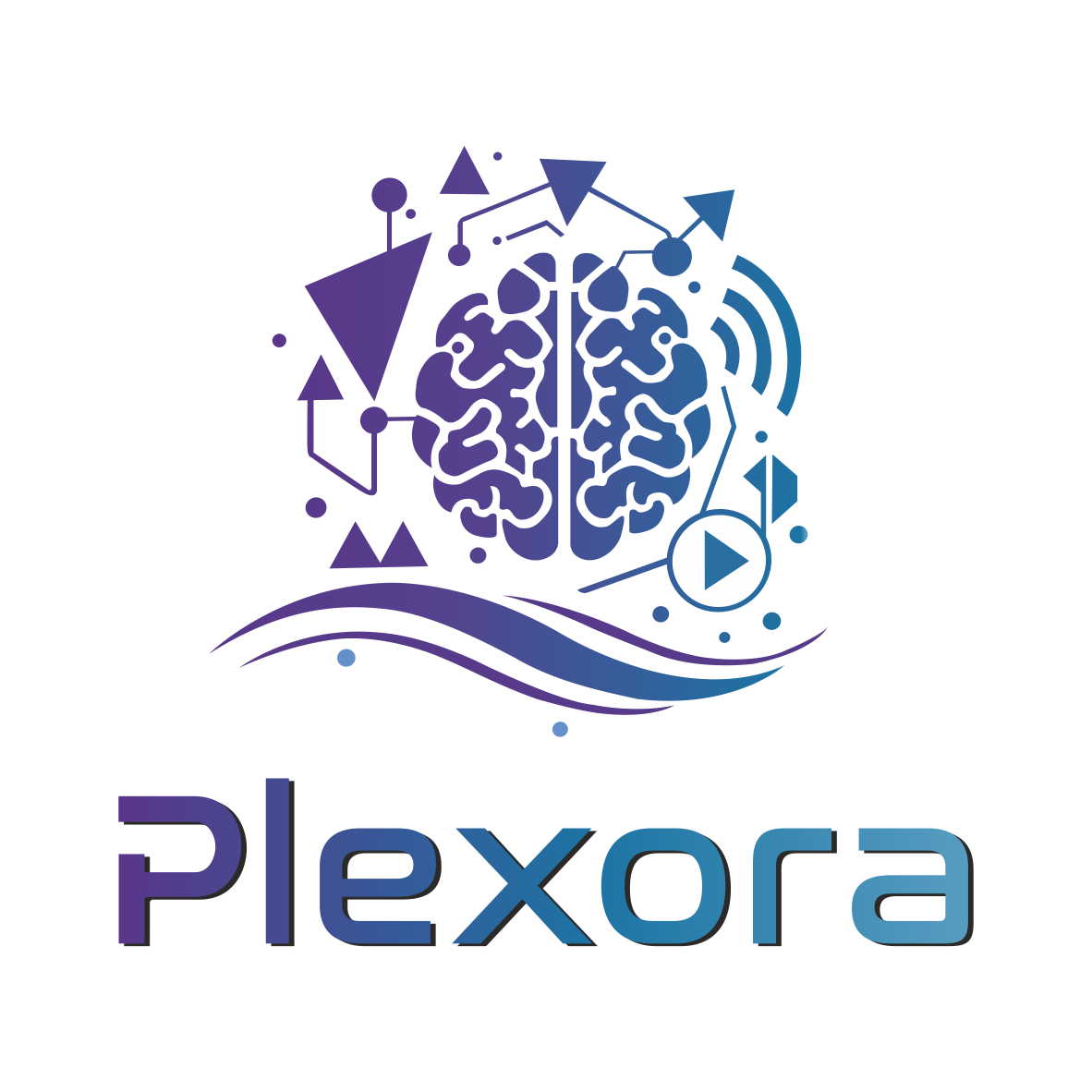 Plexora Logo